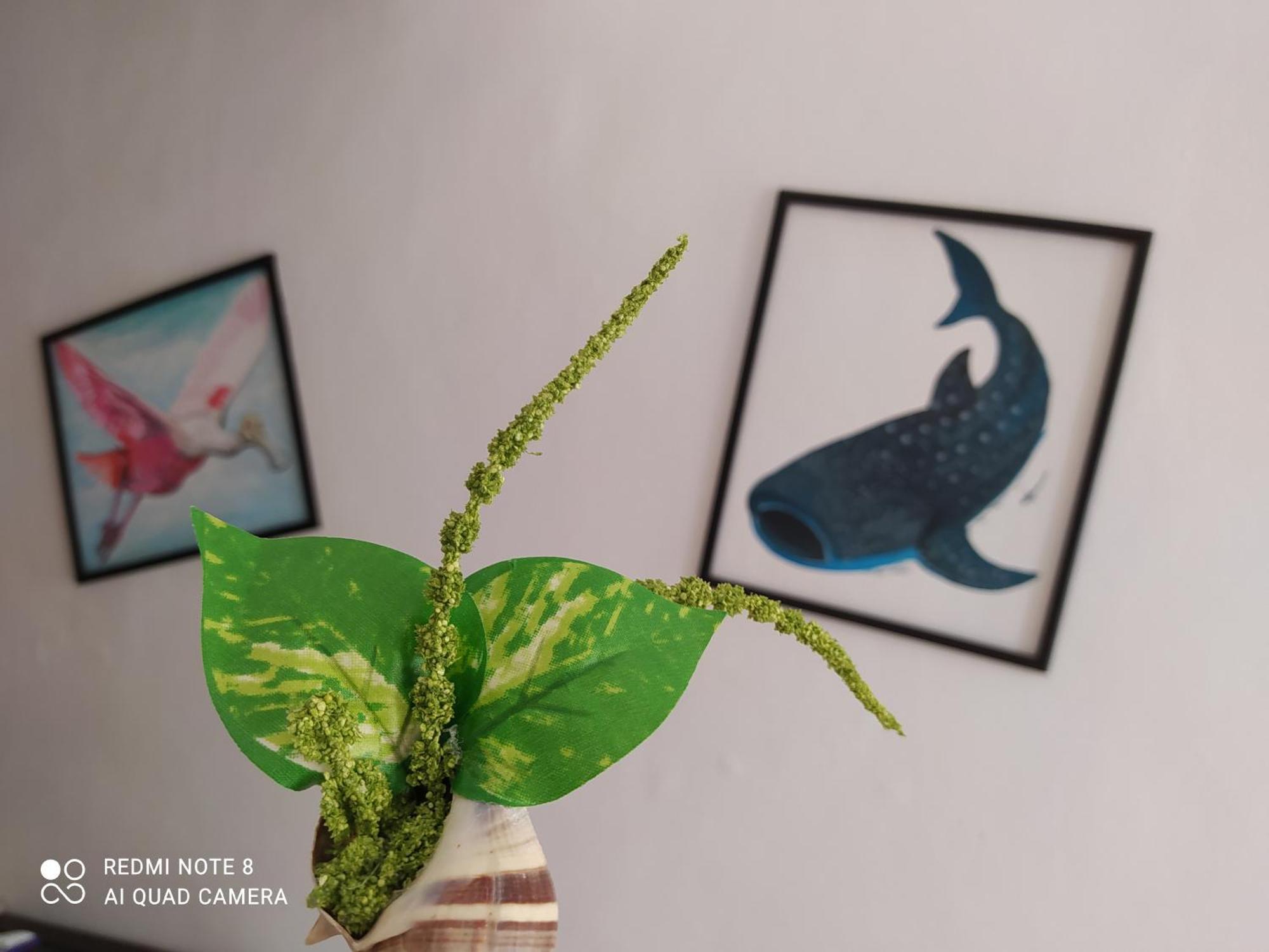 Casa Ohana-Disfruta Del Paraiso Isla Holbox Εξωτερικό φωτογραφία